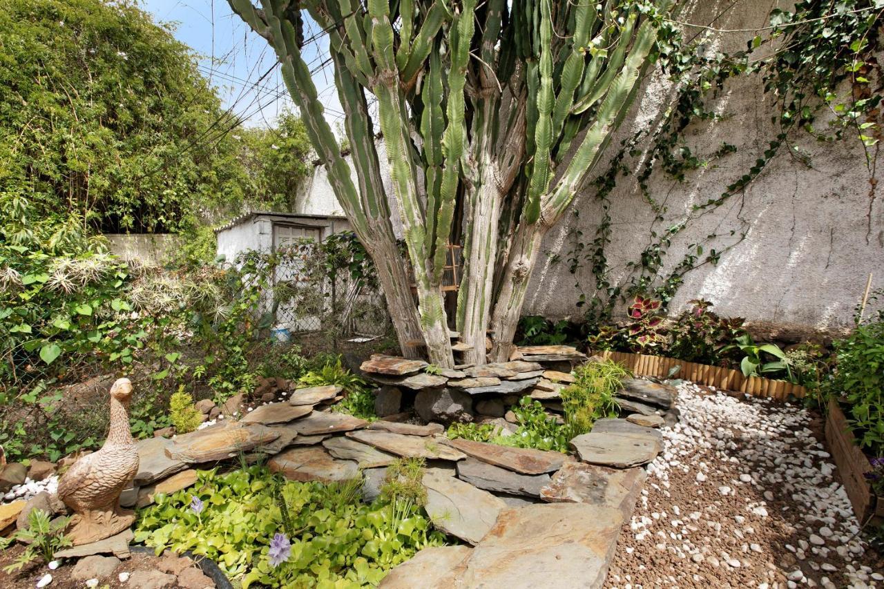Apartamento Jardin Del Sol 塔科龙特 外观 照片