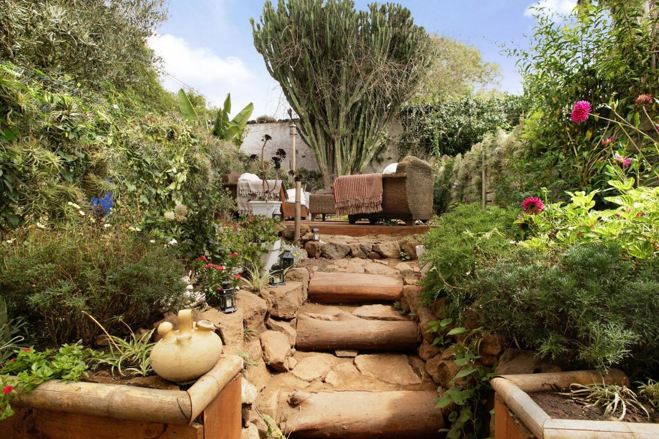 Apartamento Jardin Del Sol 塔科龙特 外观 照片